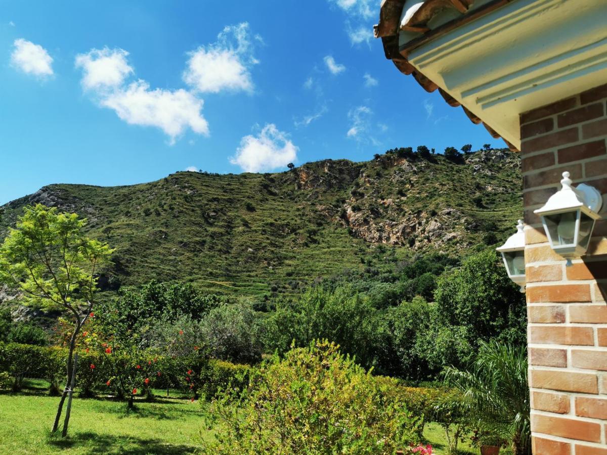 Il Mandorlo Villa Amantea Exterior foto