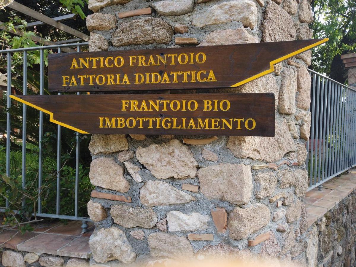 Il Mandorlo Villa Amantea Exterior foto