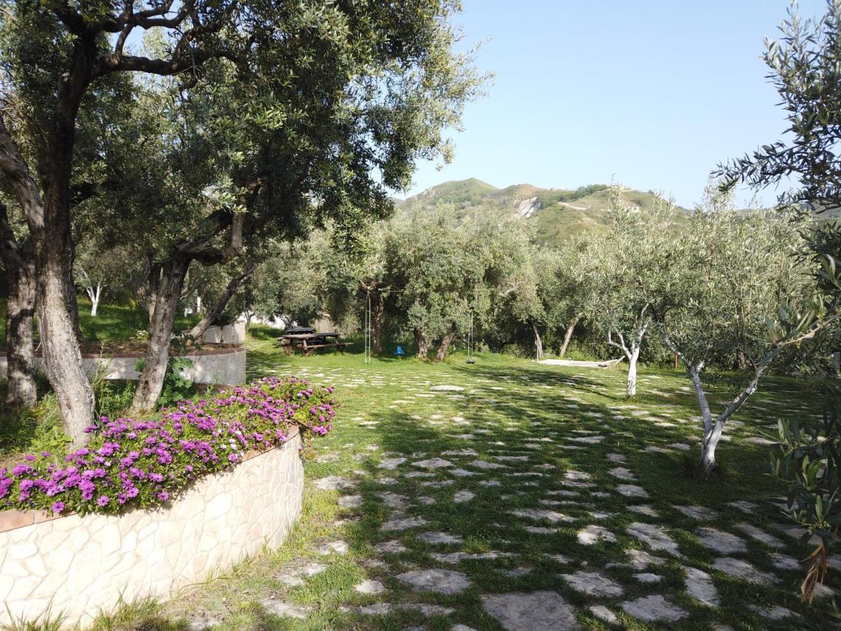 Il Mandorlo Villa Amantea Exterior foto