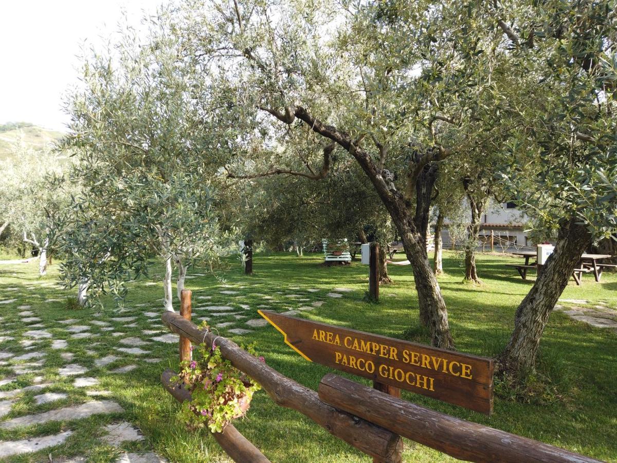 Il Mandorlo Villa Amantea Exterior foto