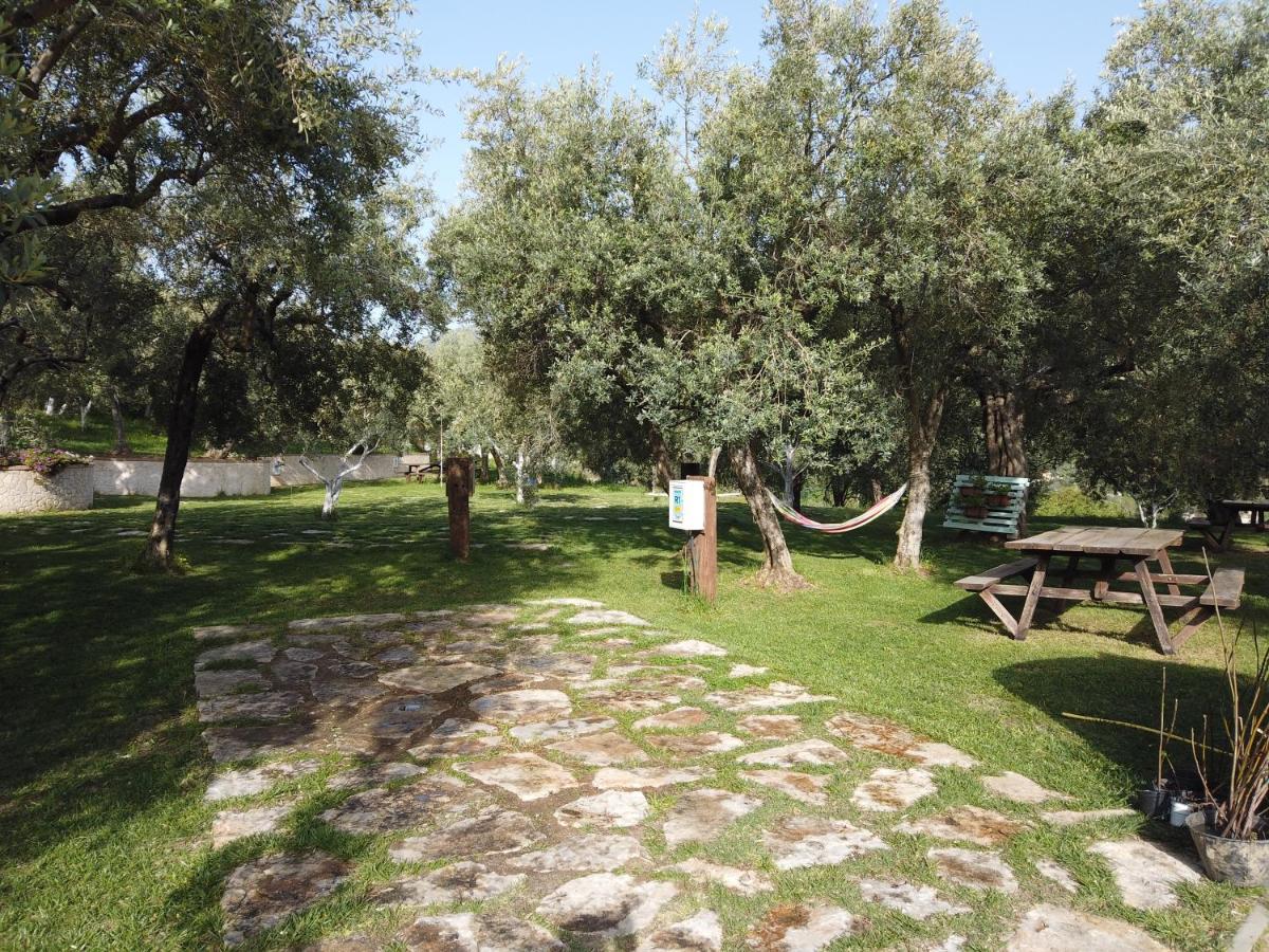 Il Mandorlo Villa Amantea Exterior foto