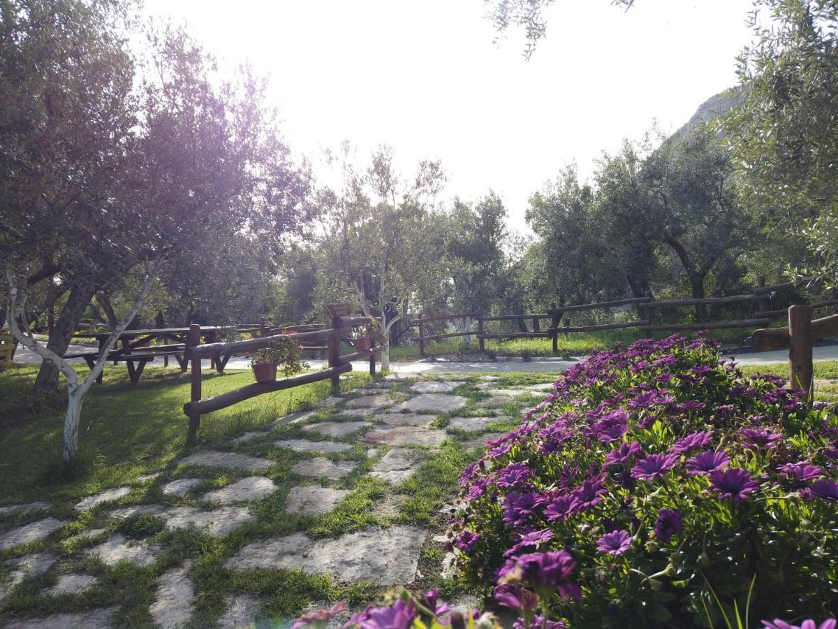 Il Mandorlo Villa Amantea Exterior foto