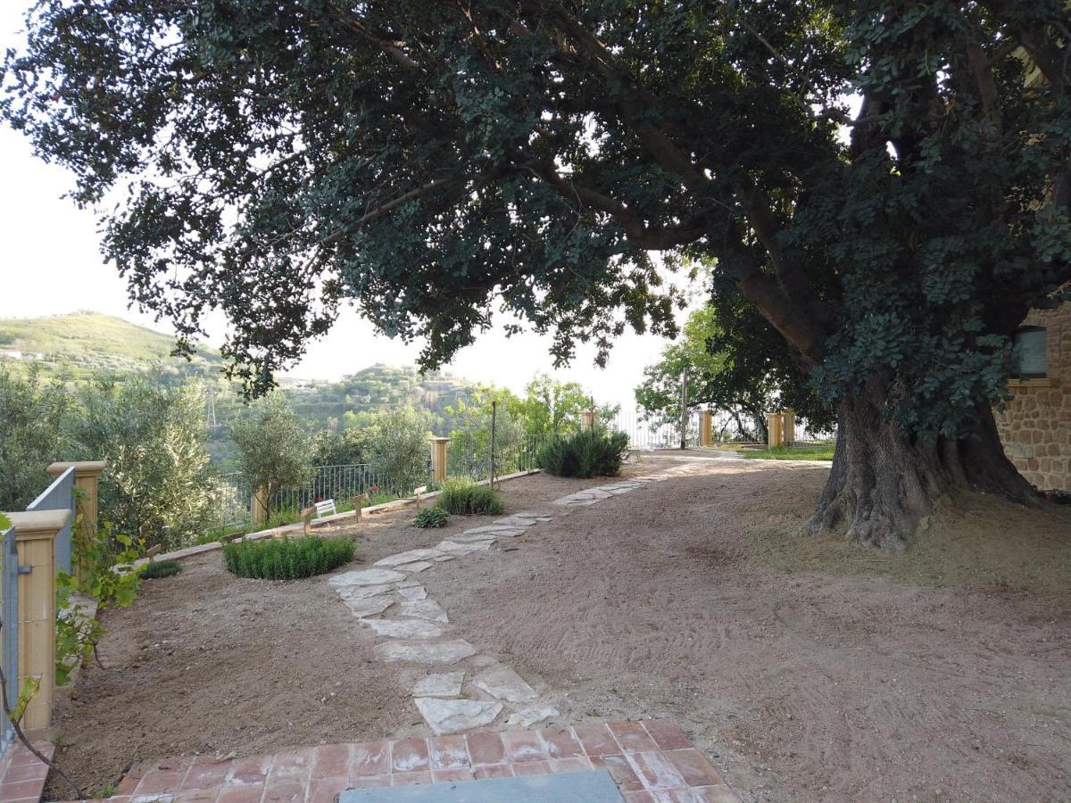 Il Mandorlo Villa Amantea Exterior foto