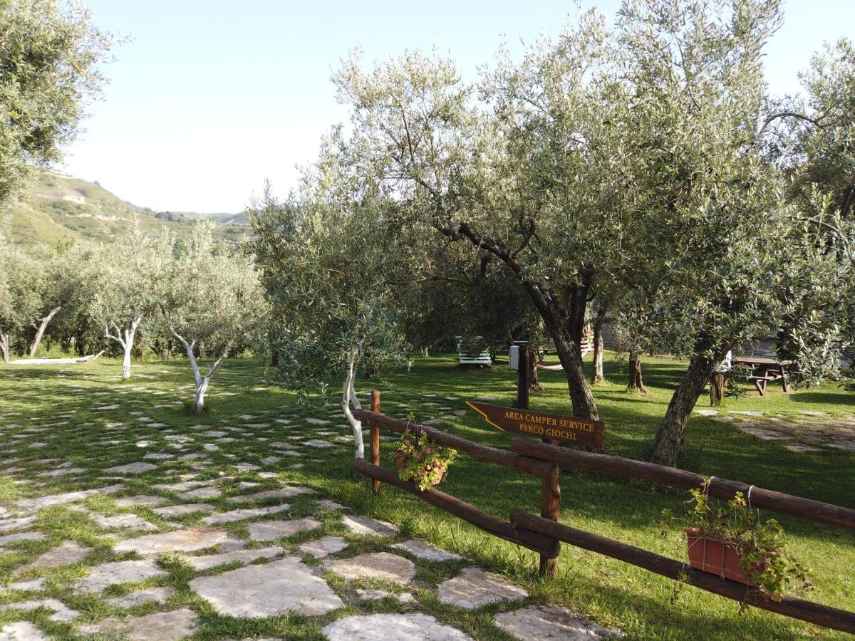 Il Mandorlo Villa Amantea Exterior foto