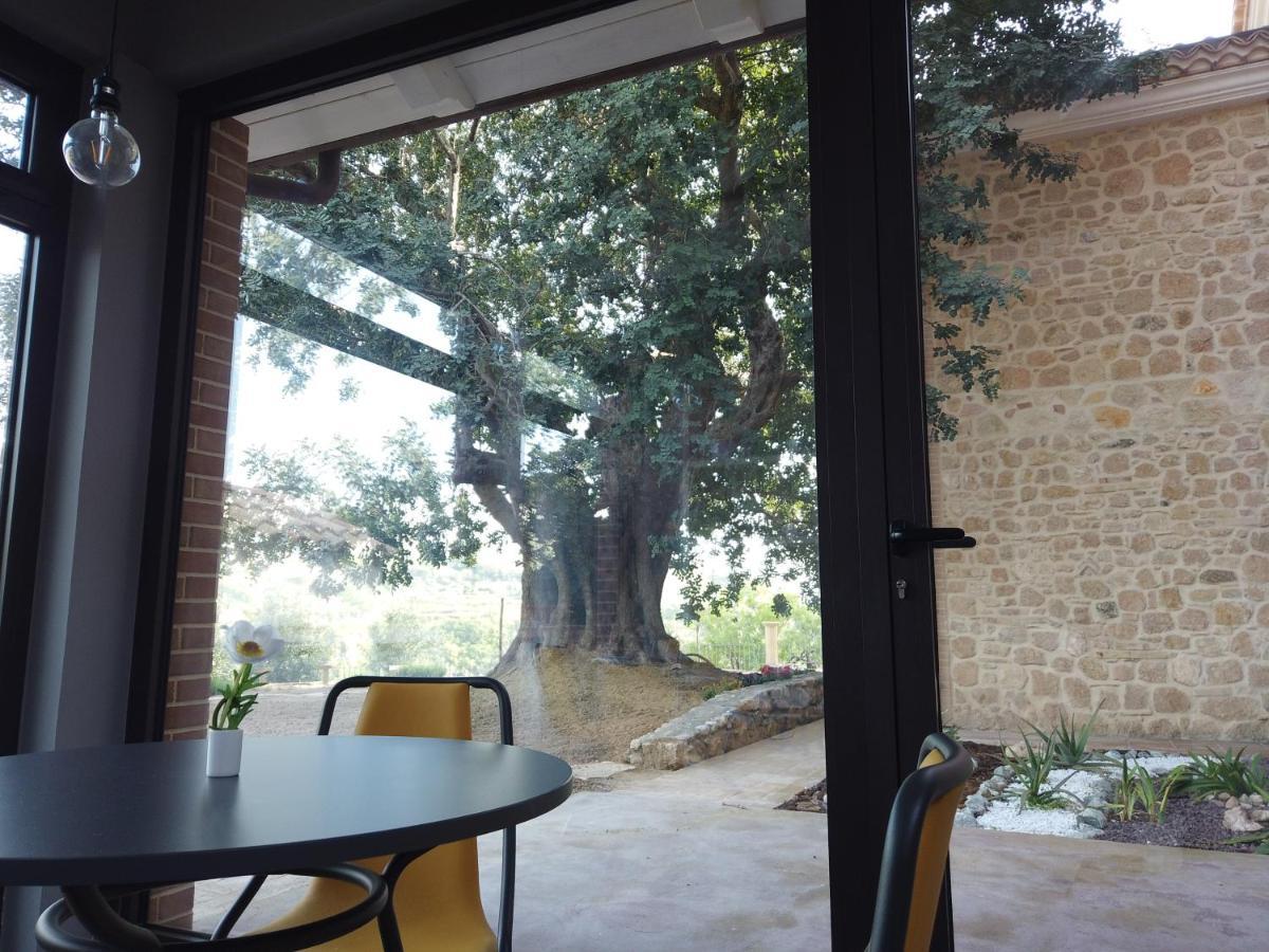 Il Mandorlo Villa Amantea Exterior foto