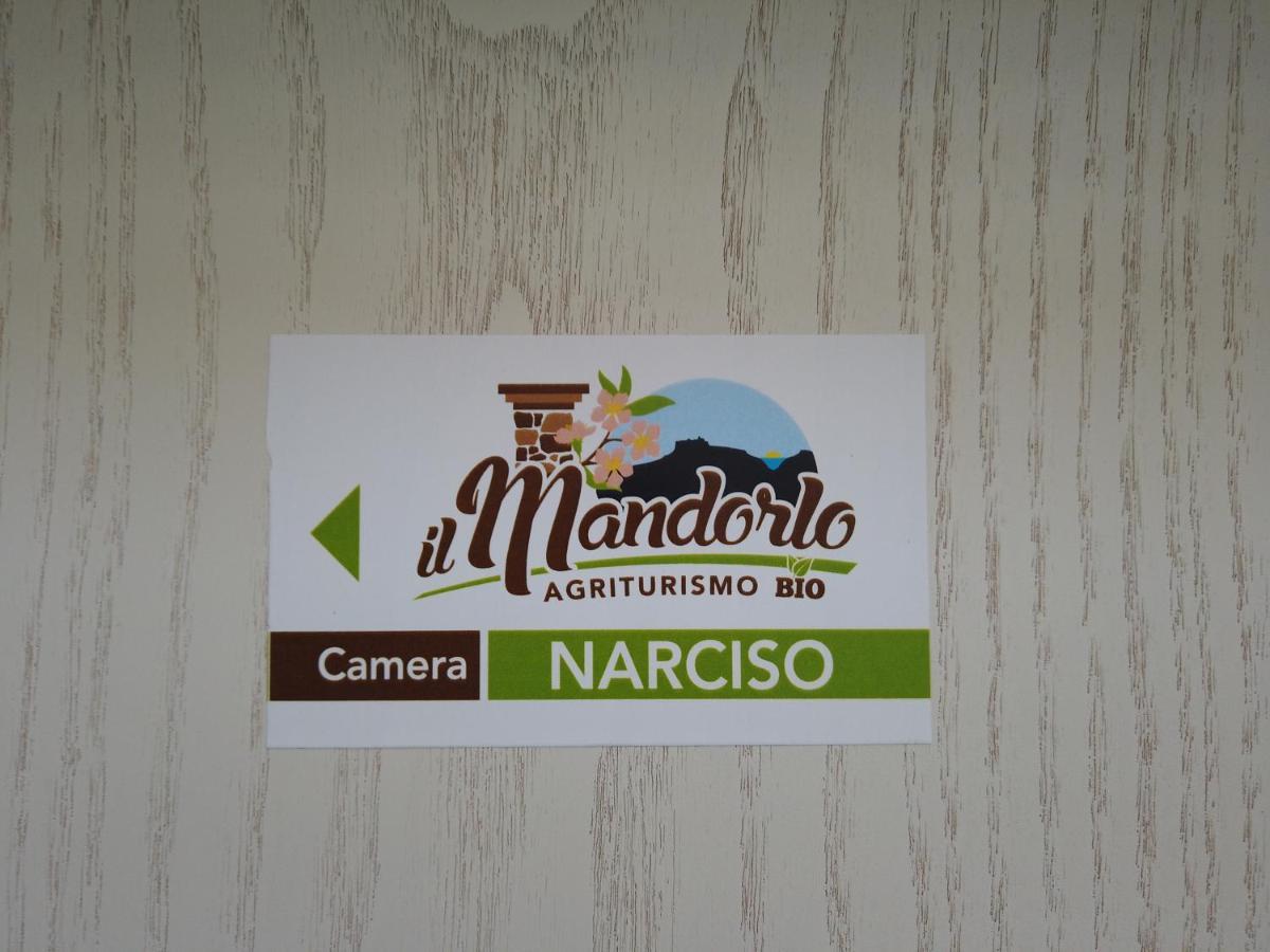 Il Mandorlo Villa Amantea Exterior foto
